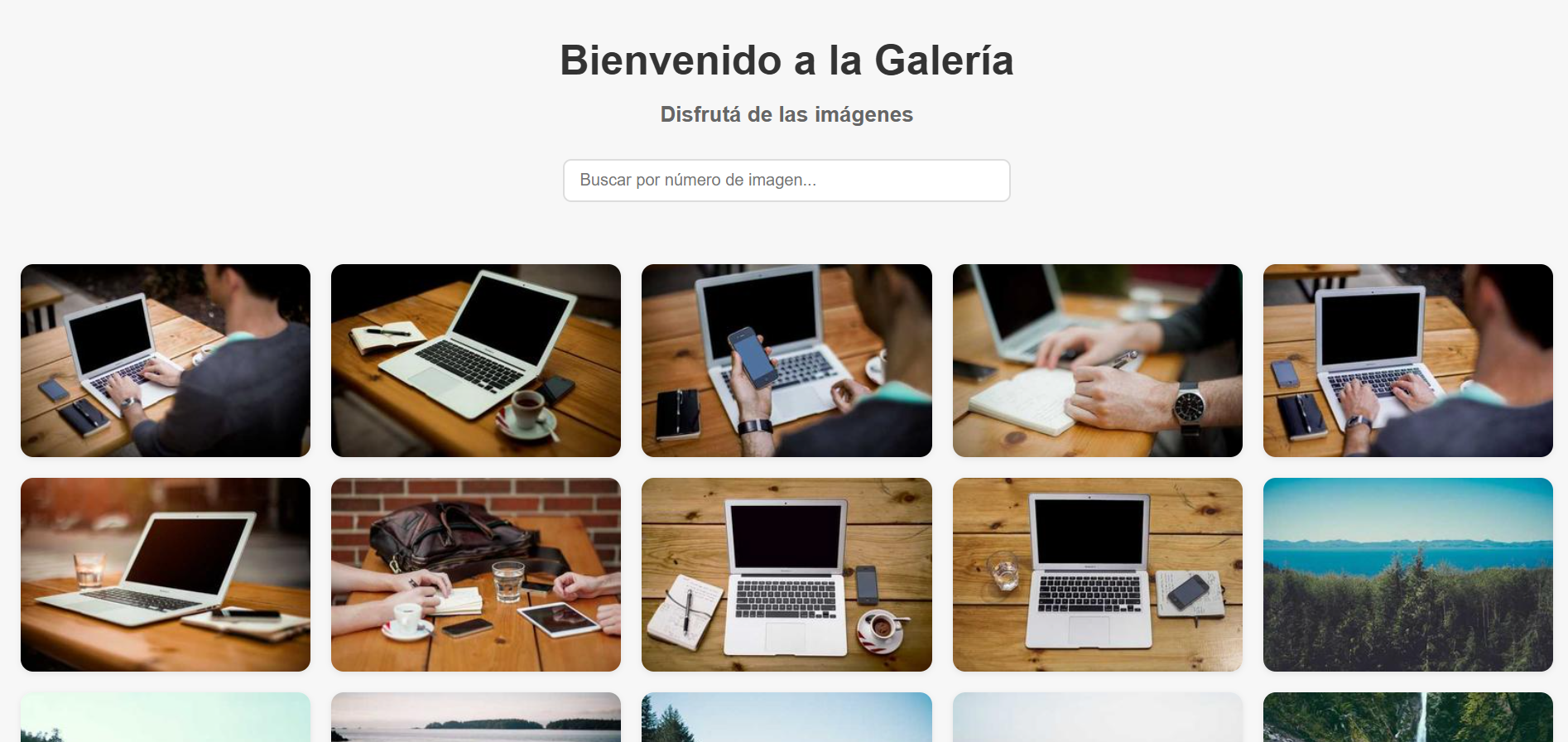 Galeria de imagenes